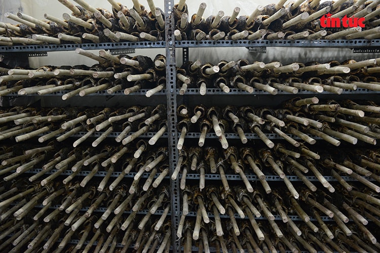 TP Hồ Chí Minh: Phố cá lóc thâu đêm đỏ lửa phục vụ ngày vía Thần Tài- Ảnh 11.