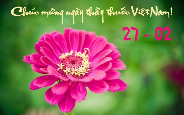 Những mẫu thiệp chúc mừng ngày Thầy thuốc Việt Nam 27/2 đẹp nhất 2026- Ảnh 22. Những mẫu thiệp chúc mừng ngày Thầy thuốc Việt Nam 27/2 đẹp nhất 2026- Ảnh 22.