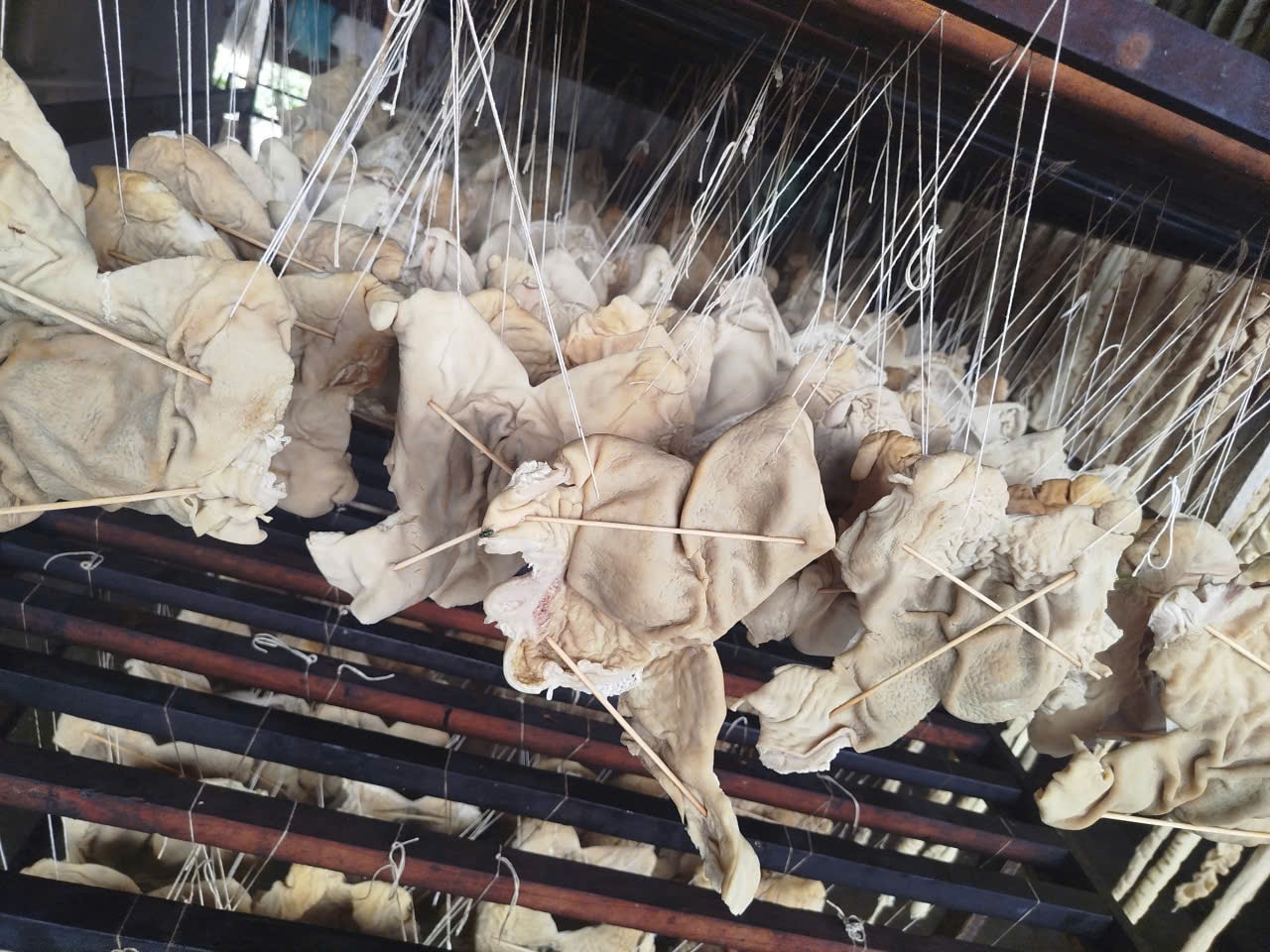 Kiểm tra đột xuất công ty Trường Huy, phát hiện hơn 55 tấn lòng lợn, chân gà không rõ nguồn gốc trong kho lạnh- Ảnh 2. Kiểm tra đột xuất công ty Trường Huy, phát hiện hơn 55 tấn lòng lợn, chân gà không rõ nguồn gốc trong kho lạnh- Ảnh 2.