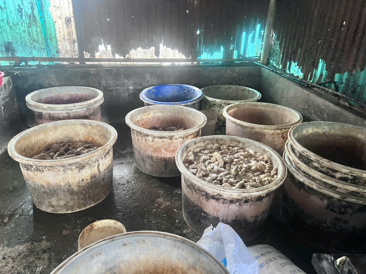 Kiểm tra đột xuất công ty Trường Huy, phát hiện hơn 55 tấn lòng lợn, chân gà không rõ nguồn gốc trong kho lạnh- Ảnh 3. Kiểm tra đột xuất công ty Trường Huy, phát hiện hơn 55 tấn lòng lợn, chân gà không rõ nguồn gốc trong kho lạnh- Ảnh 3.