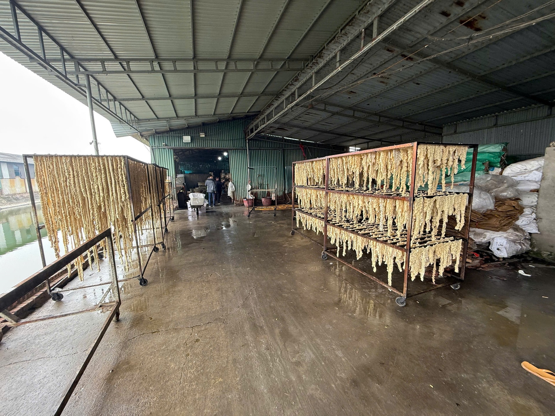 Kiểm tra đột xuất công ty Trường Huy, phát hiện hơn 55 tấn lòng lợn, chân gà không rõ nguồn gốc trong kho lạnh- Ảnh 1. Kiểm tra đột xuất công ty Trường Huy, phát hiện hơn 55 tấn lòng lợn, chân gà không rõ nguồn gốc trong kho lạnh- Ảnh 1.