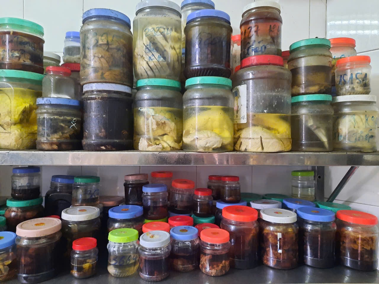 Người thầy y khoa trước lằn ranh sự thật (2): Hơn 40 năm ở 'tuyến cuối'- Ảnh 5. Người thầy y khoa trước lằn ranh sự thật (2): Hơn 40 năm ở 'tuyến cuối'- Ảnh 5.