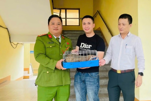 Phát hiện động vật quý hiếm 'đi lạc', người đàn ông giao nộp công an- Ảnh 1. Phát hiện động vật quý hiếm 'đi lạc', người đàn ông giao nộp công an- Ảnh 1.