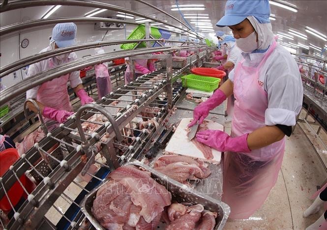 Sự kiện kinh tế Việt Nam nổi bật trong tuần qua- Ảnh 1. Sự kiện kinh tế Việt Nam nổi bật trong tuần qua- Ảnh 1.