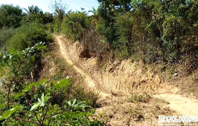 Bờ sông Lu sạt lở, 'nuốt' đường dân sinh, đe dọa đất sản xuất ở Khánh Hòa- Ảnh 4. Bờ sông Lu sạt lở, 'nuốt' đường dân sinh, đe dọa đất sản xuất ở Khánh Hòa- Ảnh 4.