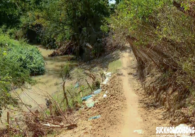 Bờ sông Lu sạt lở, 'nuốt' đường dân sinh, đe dọa đất sản xuất ở Khánh Hòa- Ảnh 3. Bờ sông Lu sạt lở, 'nuốt' đường dân sinh, đe dọa đất sản xuất ở Khánh Hòa- Ảnh 3.