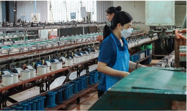 Tơ tằm Á Châu vi phạm chứng khoán- Ảnh 1.