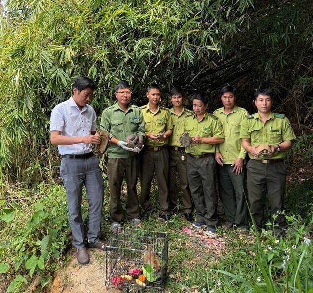 Thả nhiều động vật quý hiếm về đại ngàn Tây Nguyên- Ảnh 1.