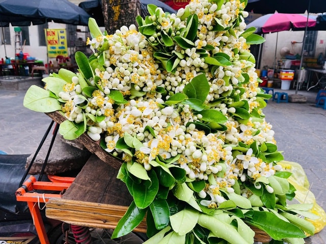 Hoa bưởi xuống phố ngày Rằm tháng Giêng- Ảnh 1.