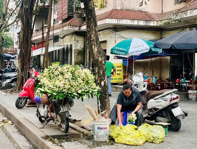 Hoa bưởi xuống phố ngày Rằm tháng Giêng- Ảnh 2.