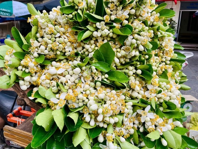 Hoa bưởi xuống phố ngày Rằm tháng Giêng- Ảnh 4.