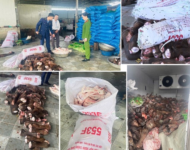 Kinh hoàng loạt thực phẩm bẩn bị thu giữ: Cá khoai nhiễm độc, lợn mắc dịch, nội tạng hôi thối- Ảnh 4.