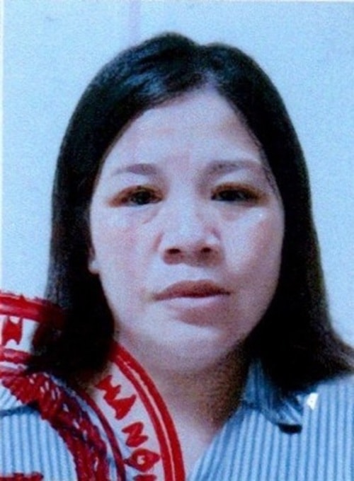 Giả tìm người mang thai hộ, người phụ nữ chiếm đoạt hơn 2,4 tỷ đồng- Ảnh 1.