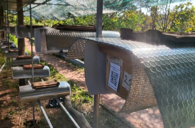 Biến vùng đất khô cằn ở Khánh Hòa thành làng ong Dú trù phú- Ảnh 1.