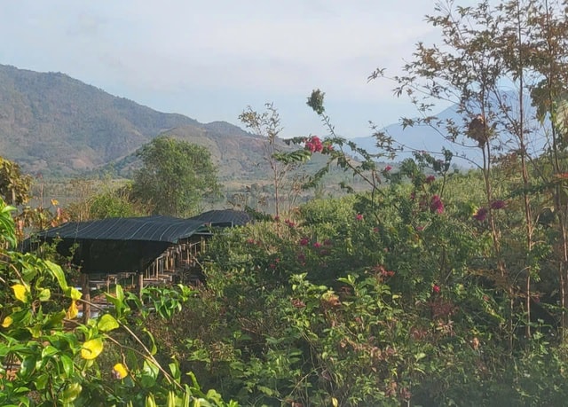 Biến vùng đất khô cằn ở Khánh Hòa thành làng ong Dú trù phú- Ảnh 2.