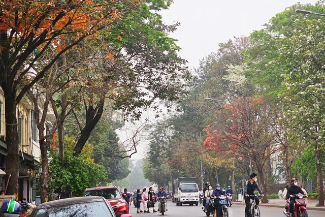 Miền Bắc sương mù vào sáng sớm, nắng mạnh vào trưa chiều- Ảnh 1.