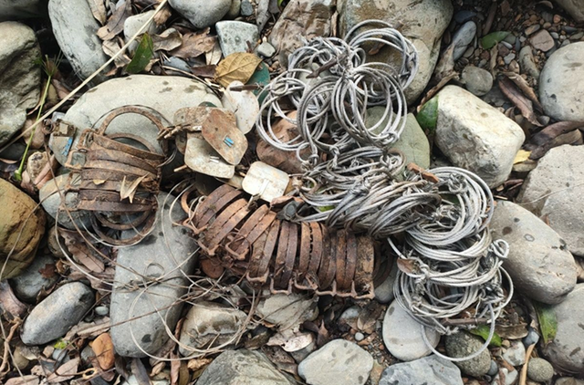 Gùi lương thực băng hơn 450km đường rừng bảo vệ động vật hoang dã quý hiếm- Ảnh 4.