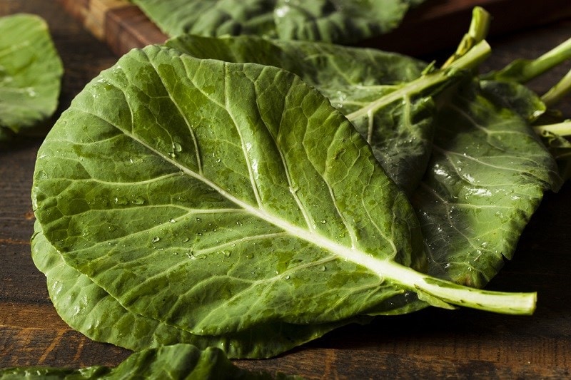 Cải rổ - Collard greens là gì? Công dụng của cải rổ, các món ...