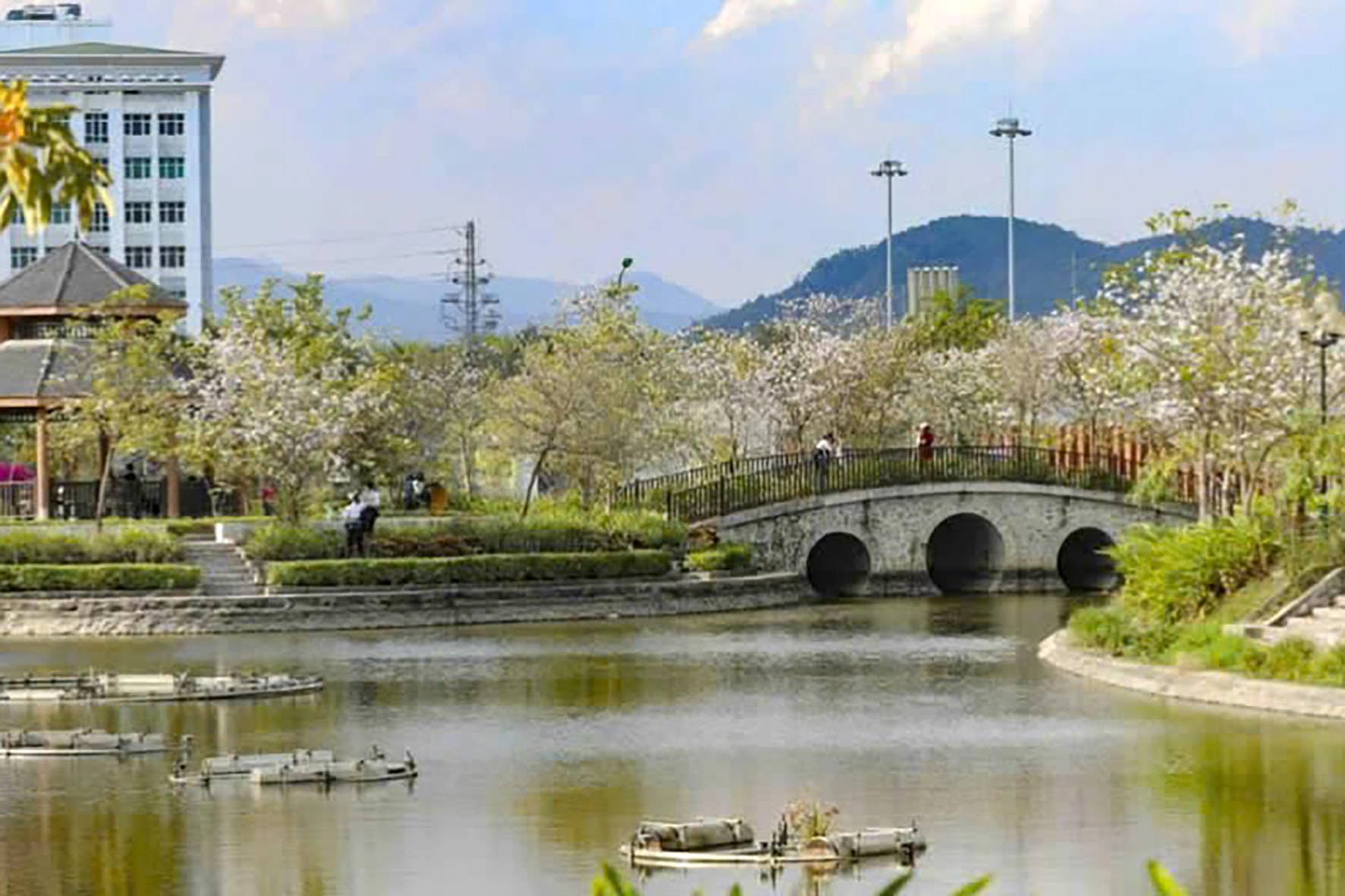 Tháng 3 Điện Biên, hoa ban nở trắng miền lịch sử- Ảnh 2.