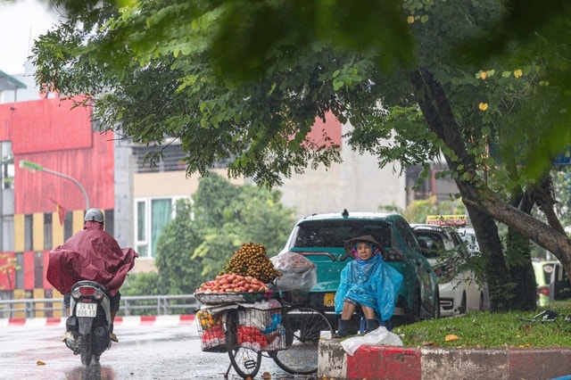 Miền Bắc trời rét, miền Trung mưa kéo dài do tác động của không khí lạnh- Ảnh 1. Miền Bắc trời rét, miền Trung mưa kéo dài do tác động của không khí lạnh- Ảnh 1.