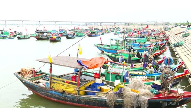 Rút ngắn chuyến biển, ngư dân Hà Tĩnh háo hức chờ ngày bỏ phiếu- Ảnh 3.