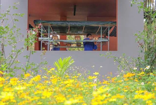 Khám phá 'làng ong Dú' giữa đồi núi sỏi đá Khánh Hòa- Ảnh 2. Khám phá 'làng ong Dú' giữa đồi núi sỏi đá Khánh Hòa- Ảnh 2.