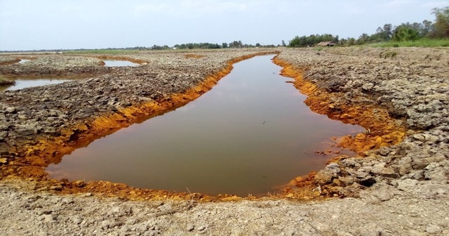 Xâm nhập mặn Nam Bộ ăn sâu đến 50km trong đất liền, khuyến cáo người dân tích trữ nước ngọt- Ảnh 1.