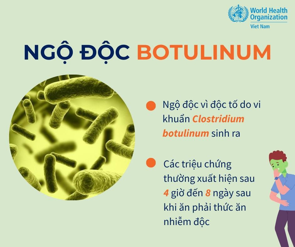 WHO hỗ trợ khẩn thuốc giải độc botulinum từ Thụy Sĩ đến Đà Nẵng cứu 3 trẻ ngộ độc cá ủ chua- Ảnh 4.