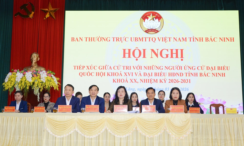 Bộ trưởng Bộ Y tế Đào Hồng Lan và các ứng viên tiếp tục chương trình tiếp xúc cử tri tỉnh Bắc Ninh- Ảnh 1.
