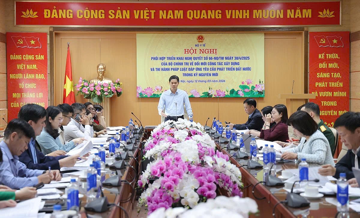Thúc đẩy hoàn thiện hai dự thảo Nghị định về chế độ phụ cấp đối với nhân lực y tế- Ảnh 3.