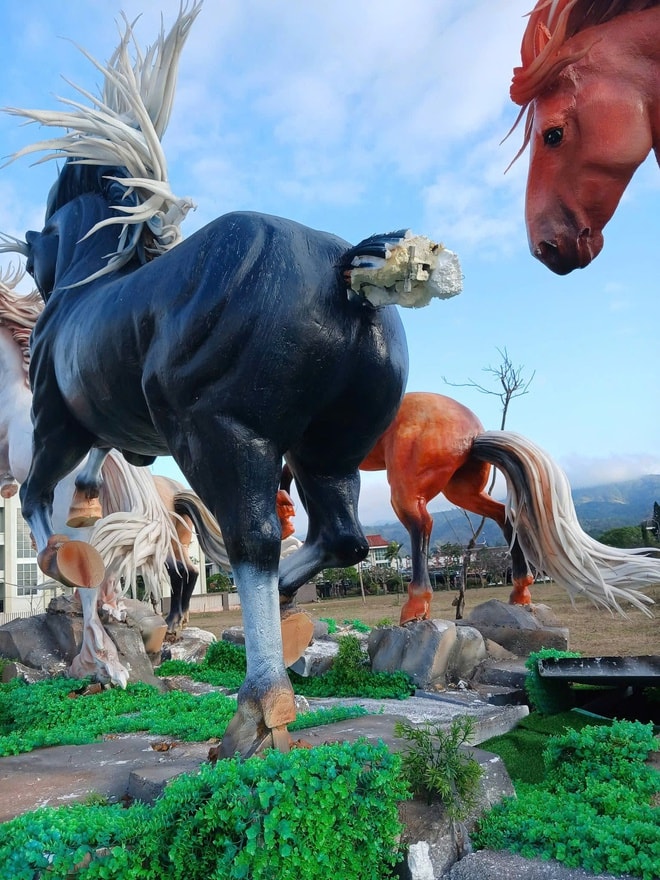 Linh vật ngựa ở vùng biên Quảng Trị mất đầu, gãy chân- Ảnh 2.