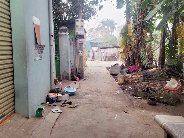 Hà Nội: Người dân xã Phù Đổng khổ vì mùi hôi từ chuồng lợn sát khu dân cư- Ảnh 6.