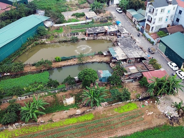 Hà Nội: Người dân xã Phù Đổng khổ vì mùi hôi từ chuồng lợn sát khu dân cư- Ảnh 2.