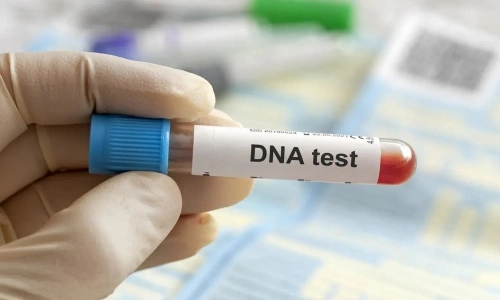 Đưa cháu nội đi xét nghiệm ADN vì lời dị nghị, bà sững sờ khi nhận kết quả- Ảnh 1.