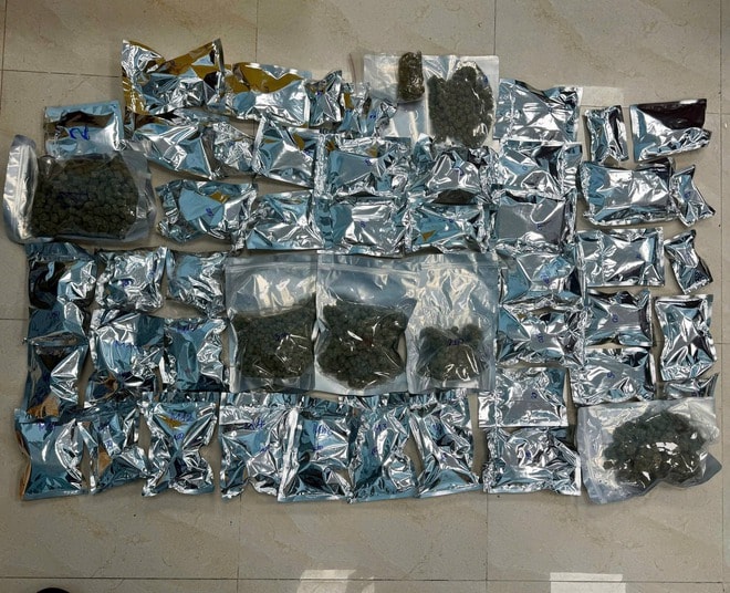 Bóc gỡ đường dây ma túy do cặp vợ chồng trẻ cầm đầu, ngụy trang dưới vỏ bọc bán quần áo online- Ảnh 3.