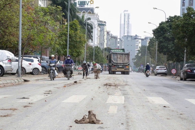 Hà Nội: Xe tải làm rơi đất trên đường, CSGT truy tận công trường xử lý- Ảnh 2.