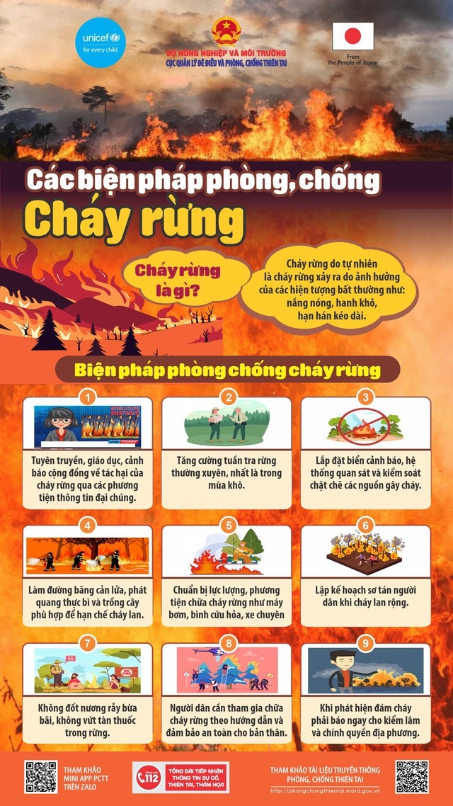 Những nguyên tắc như 'lá chắn thép' phòng chống cháy rừng- Ảnh 2. Những nguyên tắc như 'lá chắn thép' phòng chống cháy rừng- Ảnh 2.