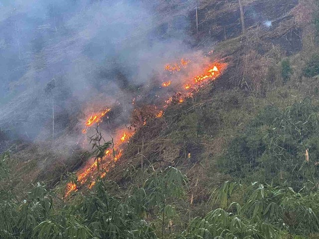 Những nguyên tắc như 'lá chắn thép' phòng chống cháy rừng- Ảnh 1. Những nguyên tắc như 'lá chắn thép' phòng chống cháy rừng- Ảnh 1.