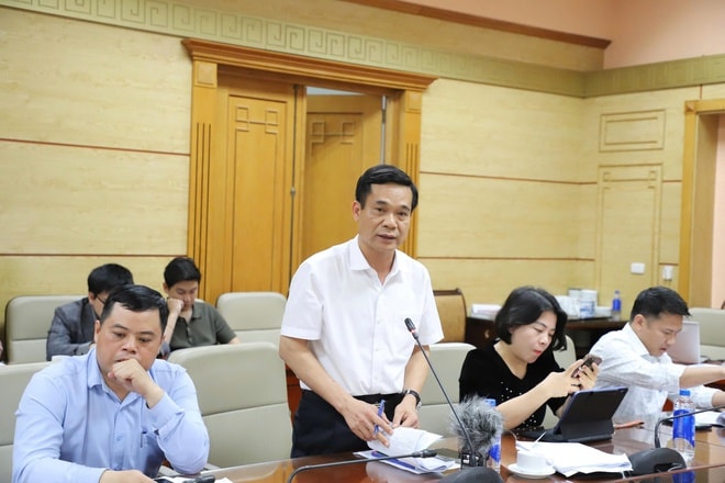 Tăng cường thực thi hiệu quả Công ước quốc tế về quyền người khuyết tật- Ảnh 2.