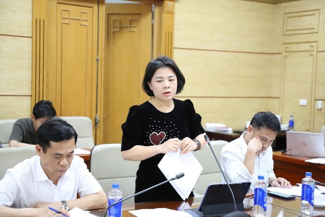 Tăng cường thực thi hiệu quả Công ước quốc tế về quyền người khuyết tật- Ảnh 3.