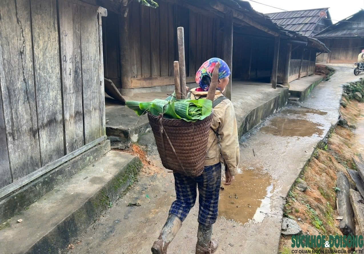 Vòng luẩn quẩn tảo hôn ở miền Tây Nghệ An: Tìm lối thoát khỏi vòng lặp bỏ học, tảo hôn và nghèo đói (Kỳ 3)- Ảnh 3. Vòng luẩn quẩn tảo hôn ở miền Tây Nghệ An: Tìm lối thoát khỏi vòng lặp bỏ học, tảo hôn và nghèo đói (Kỳ 3)- Ảnh 3.