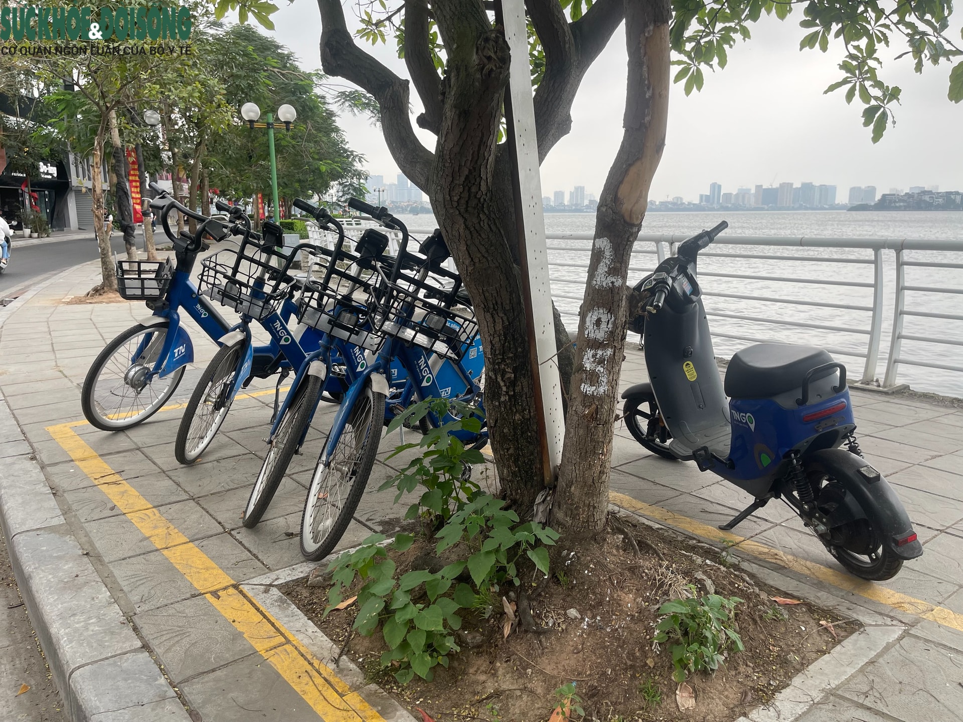 Xe đạp điện công cộng ở Hà Nội chưa thu hút được người dân sử dụng- Ảnh 7.