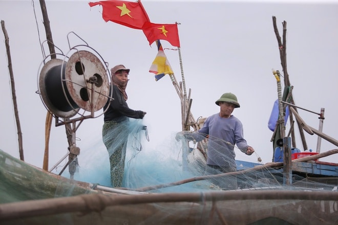 Ngư dân trúng đậm mỗi ngày nhờ loài cá giàu đạm- Ảnh 4.