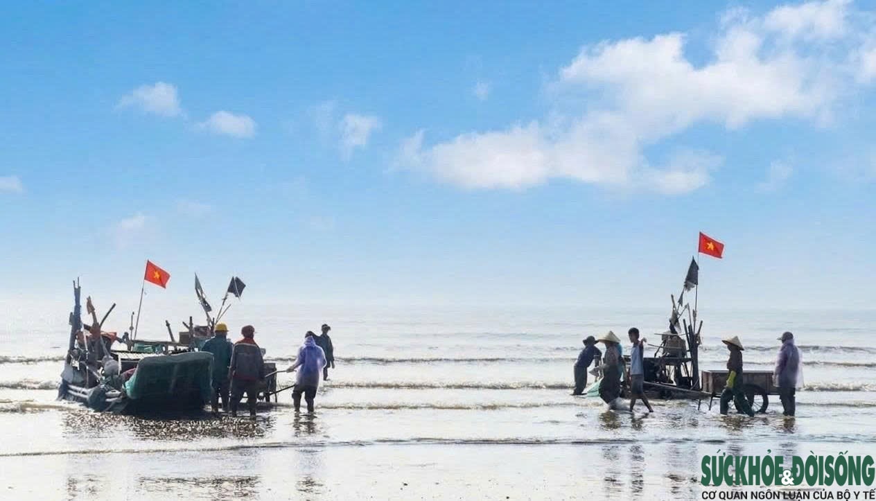 Cao điểm mùa khai thác sứa, ngư dân kiếm tiền triệu sau vài giờ ra khơi- Ảnh 1.