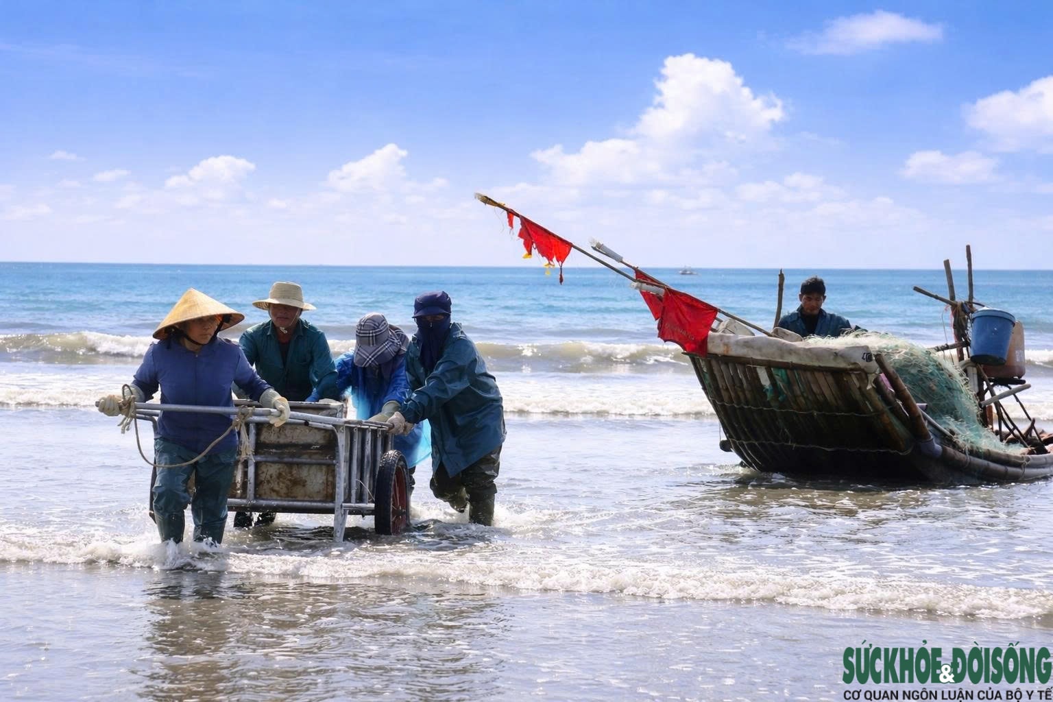 Cao điểm mùa khai thác sứa, ngư dân kiếm tiền triệu sau vài giờ ra khơi- Ảnh 3.