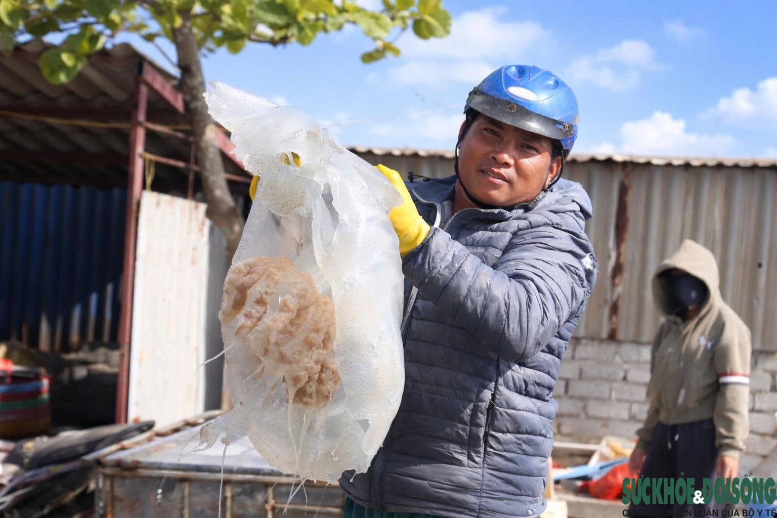 Cao điểm mùa khai thác sứa, ngư dân kiếm tiền triệu sau vài giờ ra khơi- Ảnh 5.