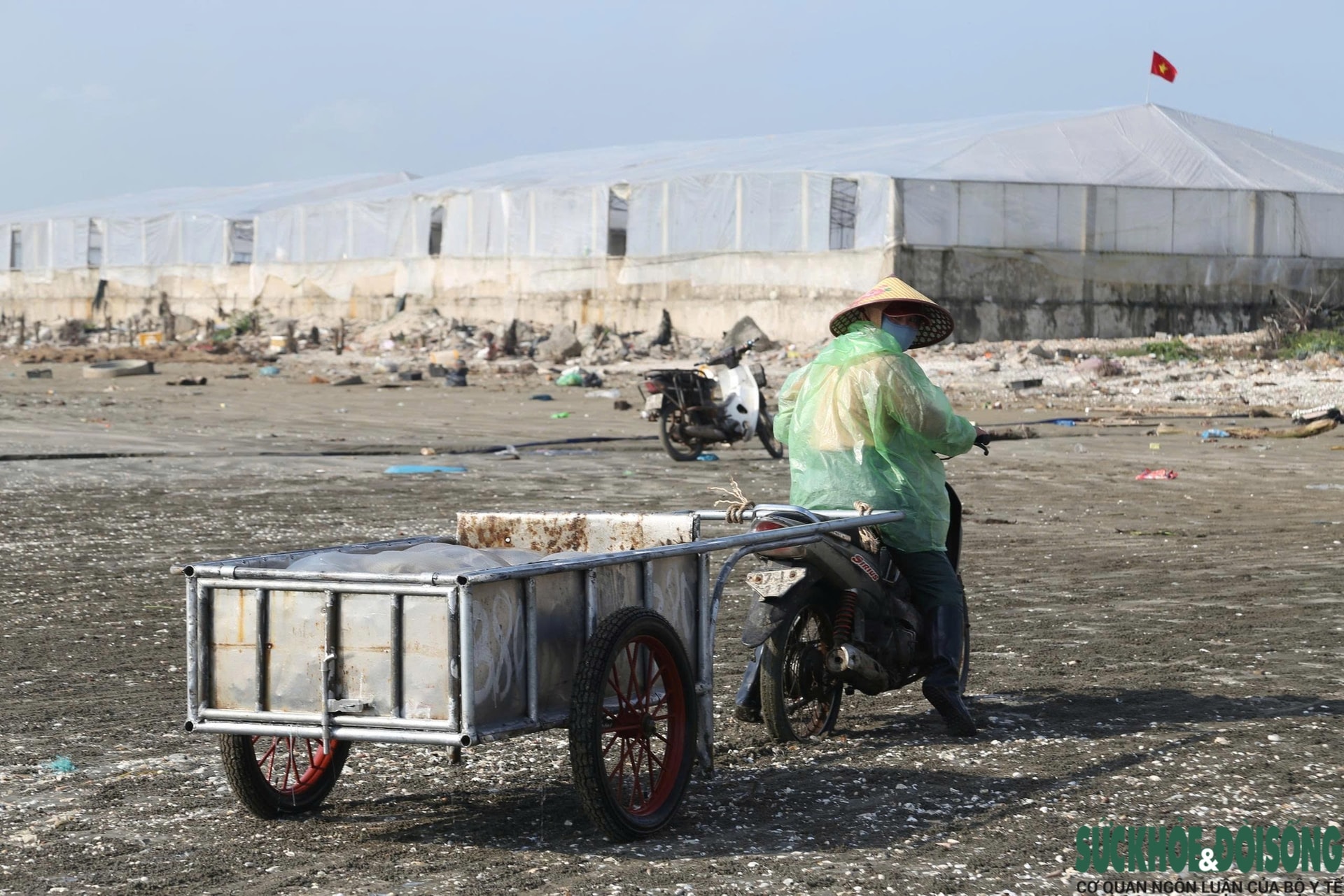 Cao điểm mùa khai thác sứa, ngư dân kiếm tiền triệu sau vài giờ ra khơi- Ảnh 6.