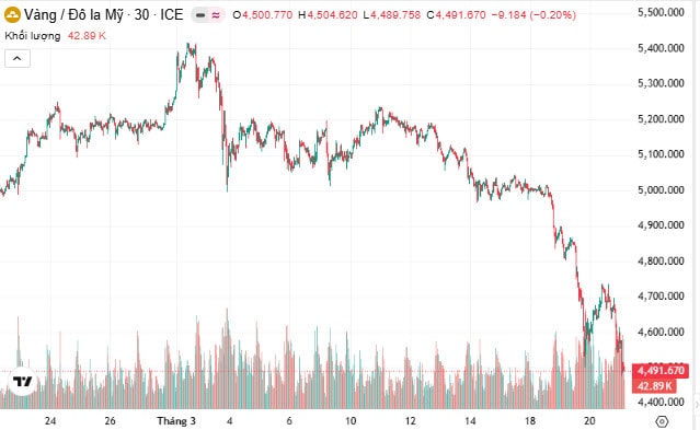 Giá vàng sáng 22/3 giảm mạnh nhất từ sau chiến sự Trung Đông- Ảnh 1.