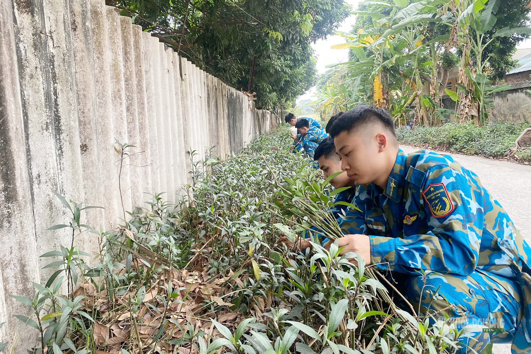 'Chủ nhật xanh' trong sắc áo lính Phòng không - Không quân- Ảnh 4.