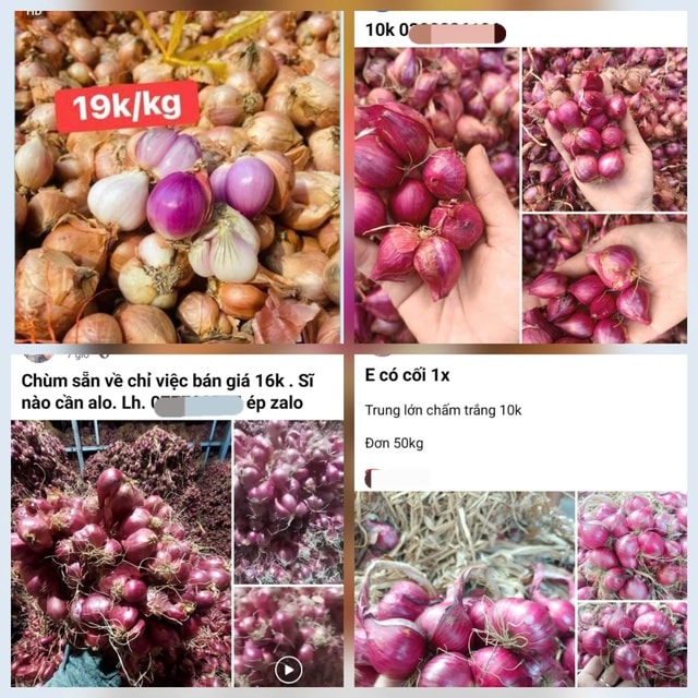 Giá hành củ giảm sâu, người dân đổ xô mua tích trữ: Bảo quản sao cho không bị hỏng?- Ảnh 1.